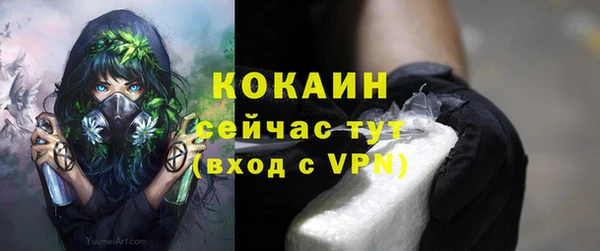 mix Белокуриха