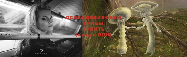 apvp Семикаракорск