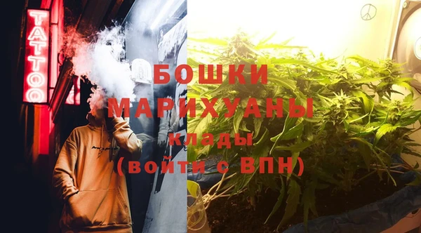 PSILOCYBIN Белоозёрский